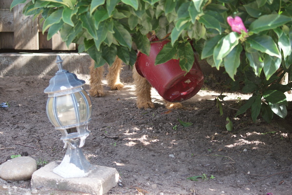 Zo kunnen ze me mooi niet zien