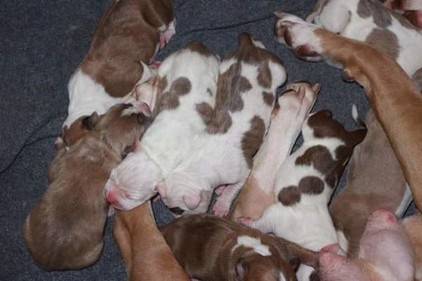 The Kids Best Frends