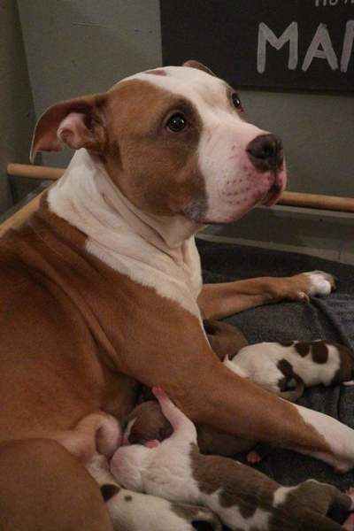 The Kids Best Frends