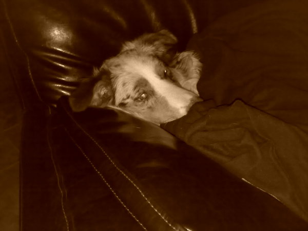 lekker veilig onder de deken :D