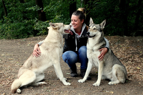 Lobo de la Luna Llena