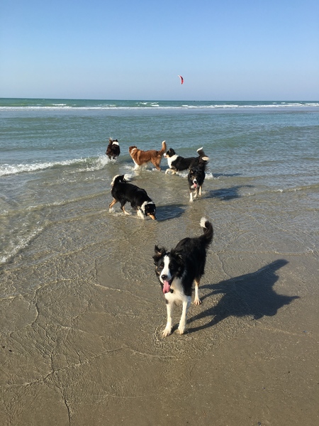 From Milly So Gentle