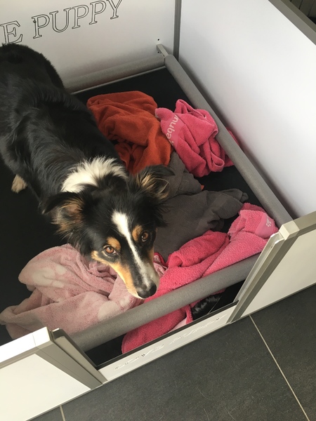 From Milly So Gentle