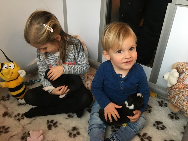 From Milly So Gentle