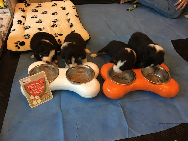 From Milly So Gentle