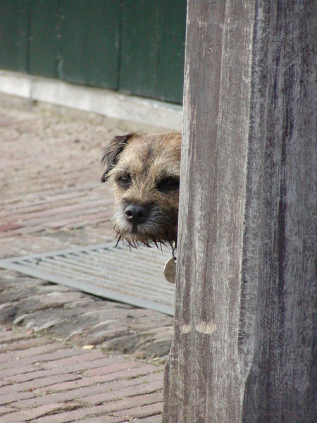 Stiekem om een hoekje gluren