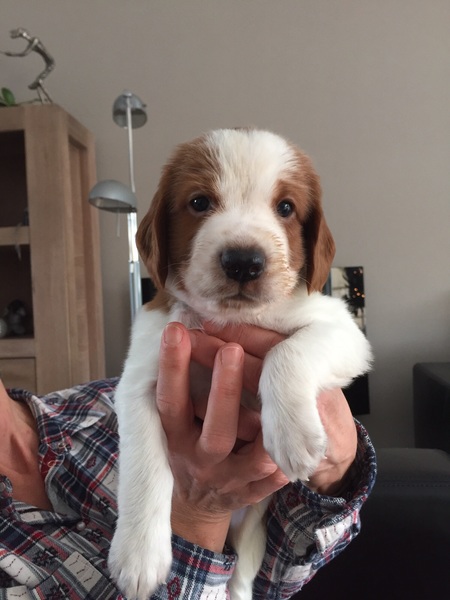 Of The New Born Beauty's