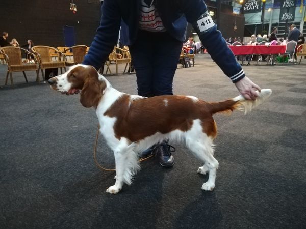 Of The New Born Beauty's