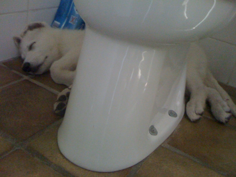 Hoezo je kan de pot OP?