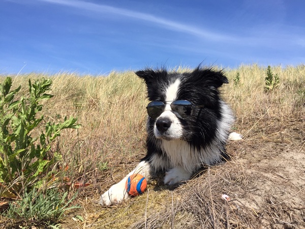Chillen aan het strand 