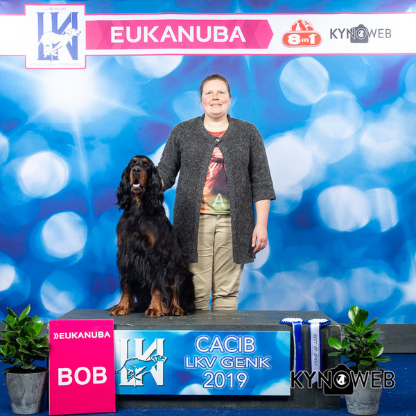 Gordon Setters of the Purple Fallow