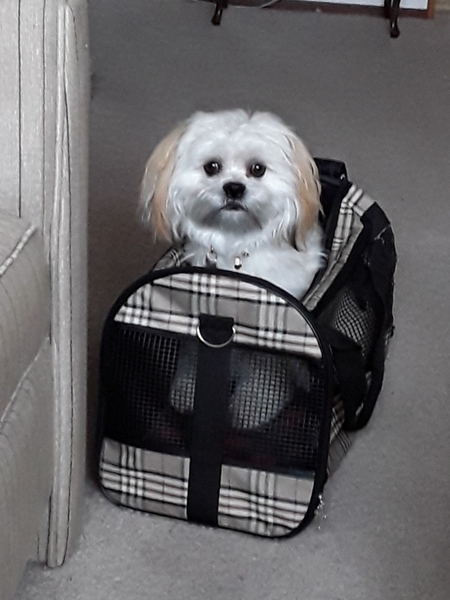 We zijn klaar voor de reis