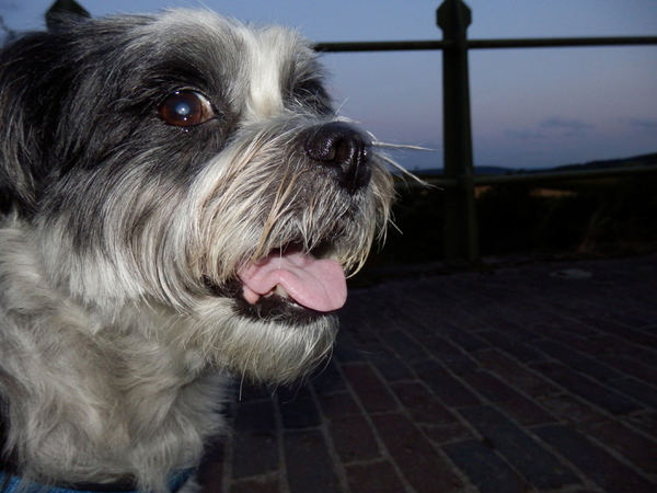 Wandelen met zonsondergang
