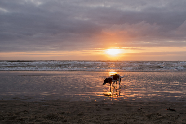 Noortje op het strand 3