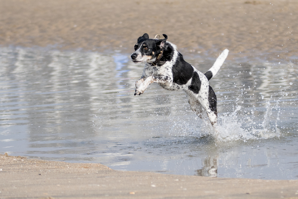 Noortje op het strand 1
