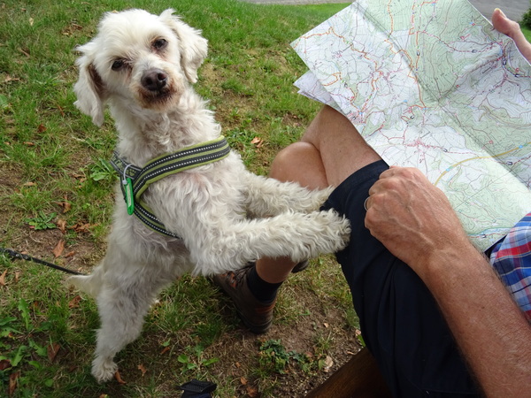 we zijn toch niet verdwaald??