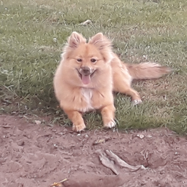 Roxie's favoriete moment op vakantie