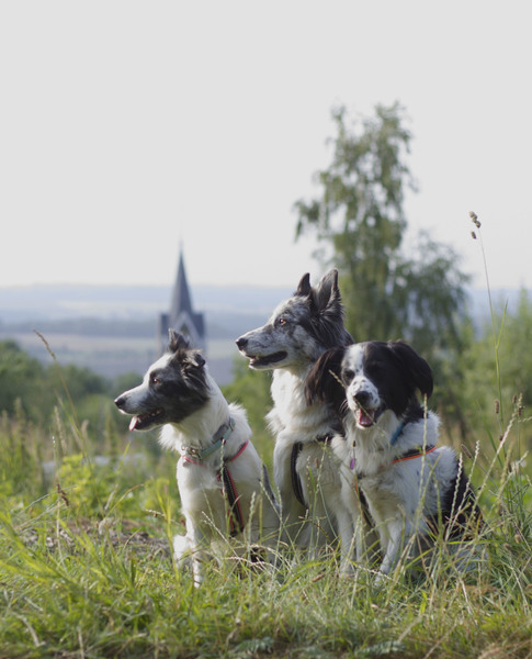 Toeristen uithangen in Heyd!