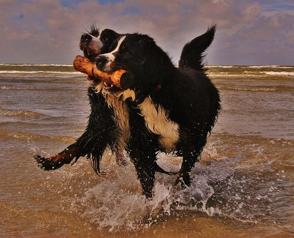 zee, zon en stok..meer is niet nodig!