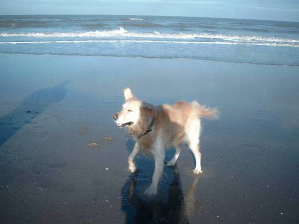 urbahn op zijn 10 verjaardag