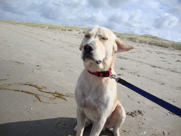 Het is hier best wel winderig...