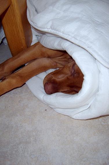 Wat is er nou lekkerder slapen dan