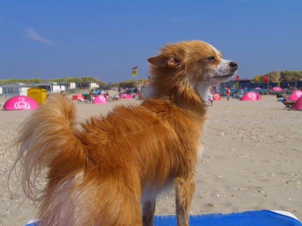 pffffffffffffffffffffffffffffffffff wat een wind