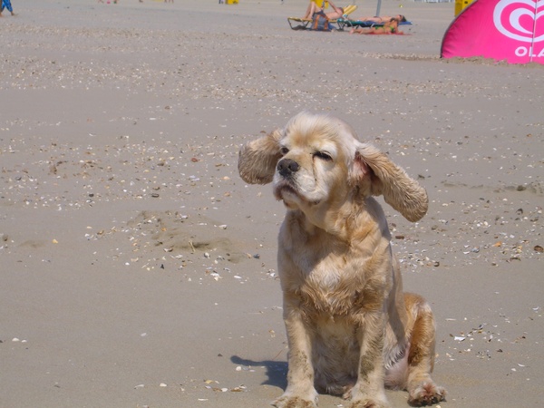 nog effe en ik kan opstijgen