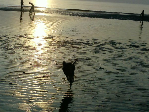 Bram op 't strand.