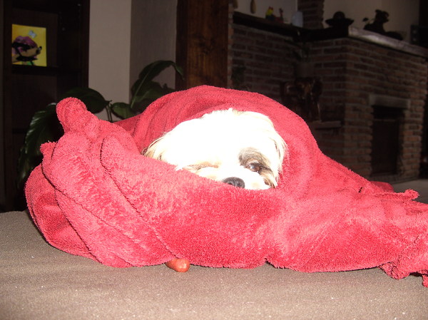 pluchke goed ingeduffeld