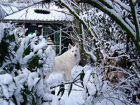 Mexx moeilijk te zien