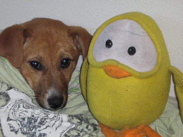 Slapen met mijn vriendje