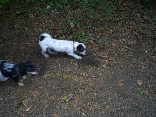 loutje aan het graven