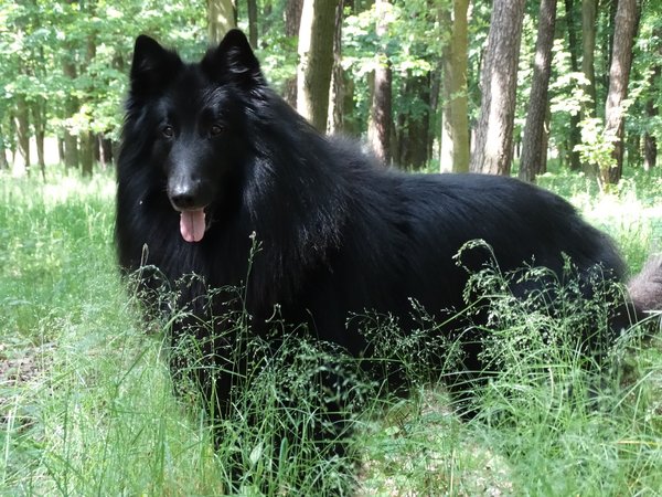 Tikaani 's hof ter Lede