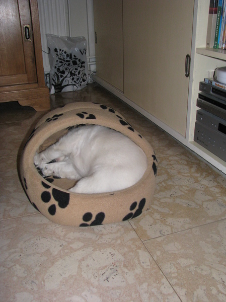 ra ra waar ben ik ...?