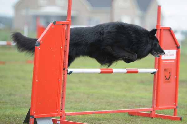 Tikaani 's hof ter Lede