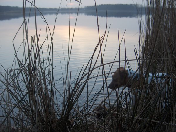 tja ik kan me niet goed verstoppen