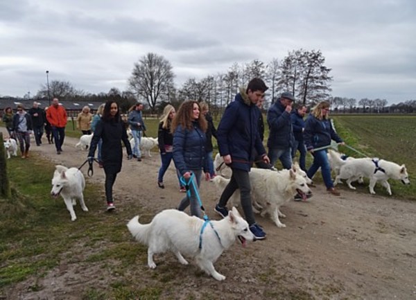 Kennel van de witte herder