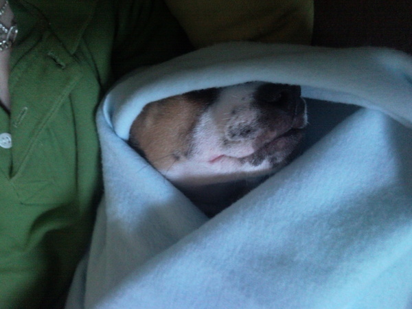 lekker slaap in mijn dekendje