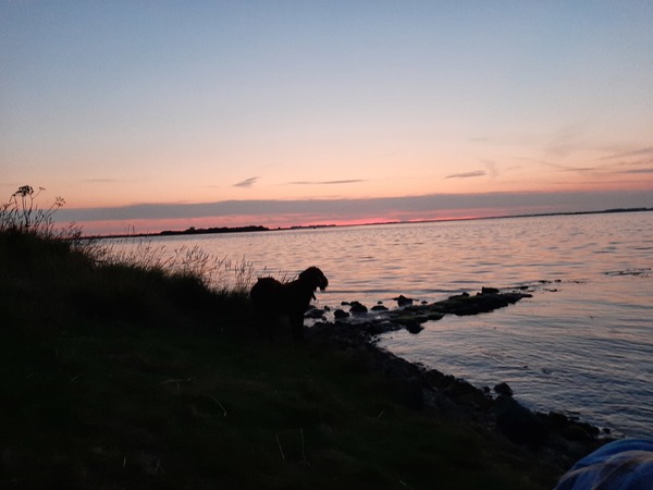 Genieten in Zeeland