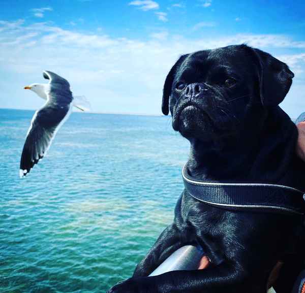 Eerste boottrip op de Tesso