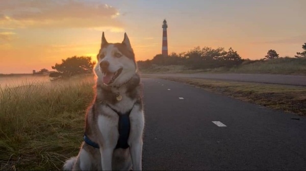 Zonsopgang op Ameland