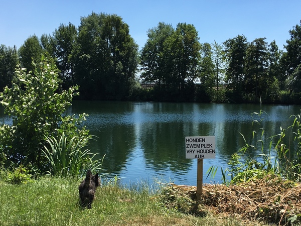 Speciaal voor honden