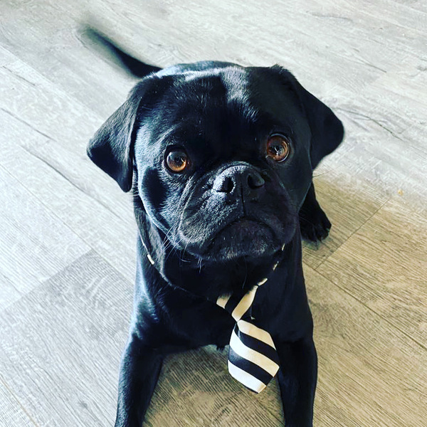 Naar een kinder verjaardag