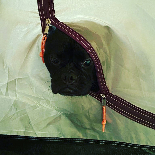 Excuse me? Gaan we nog een keer strand?