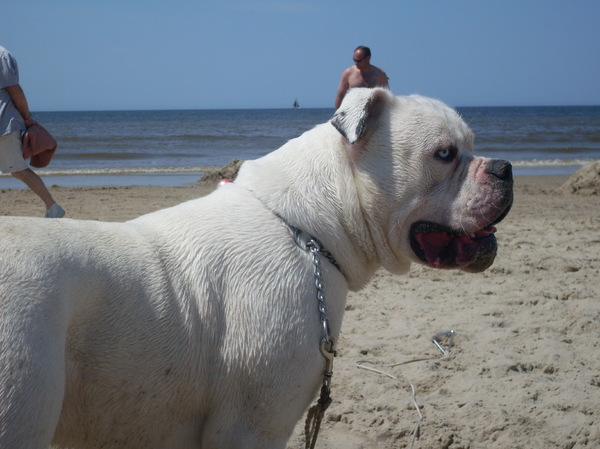 Spook in callantsoog