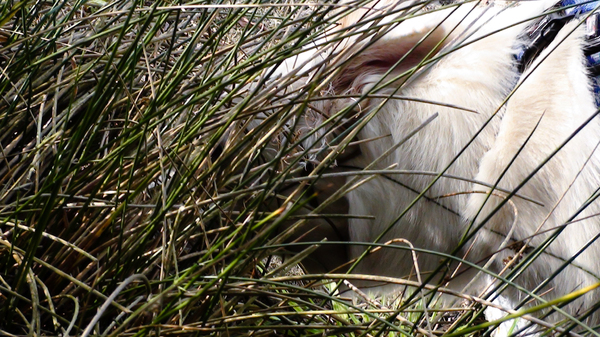 Zoekt en gij zult vinden