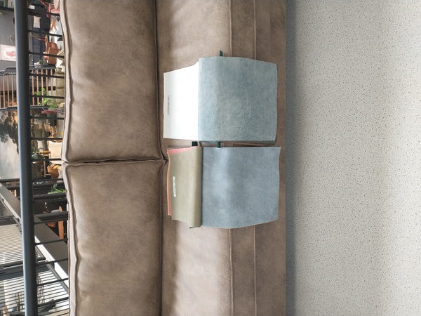 Ciobanesc Romanesc Mioritic