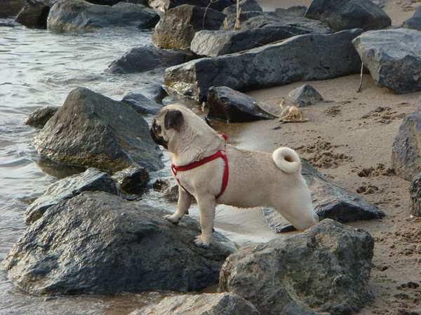 Waar blijft Spikey????