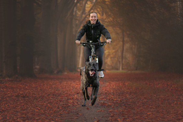 Bikejören in de herfst